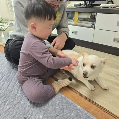 1770551432743.jpg?type=w386