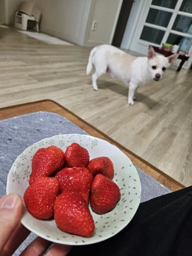 20260208_133738.jpg?type=w386