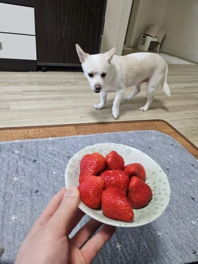 20260208_133741.jpg?type=w386