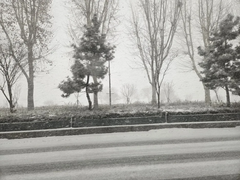 20260202_103709.jpg?type=w1