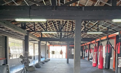 ?src=%22https%3A%2F%2Flh3.googleusercontent.com%2Fgps-cs-s%2FAG0ilSy3VI8ye47Dzf76KKlKHu1DVnjGM9J742NjQgbjfuv9U6Q47Uyqlnw79pnkg8SWu8SJC0D6oZCSpCXarj3sQkE9hZxsjb-n9UWMDiq4OUn_F_VA3UekcZEbfpMZR9grJHB_98nIapZoavw%3Dw900-h900-p-k-no%22&type=ff500_300