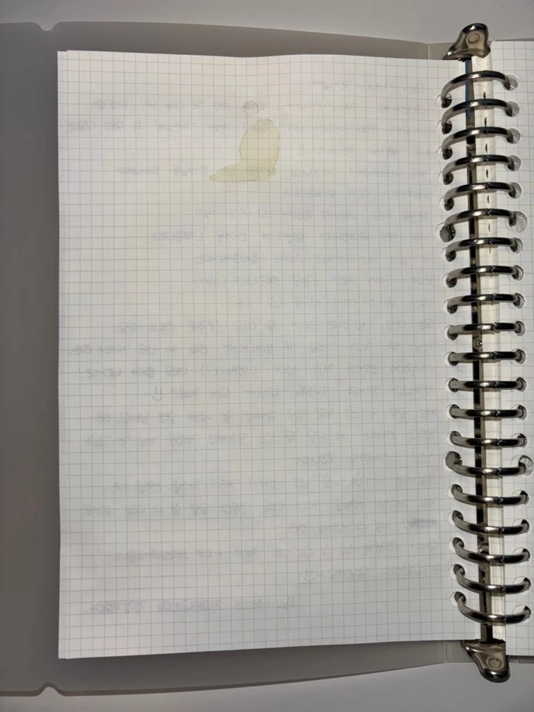 kakaotalk_photo_2025-05-10-20-10-11-010.jpeg?w=768