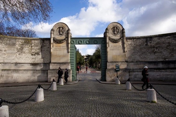 01--allo-le-ciel.jpg?type=w966