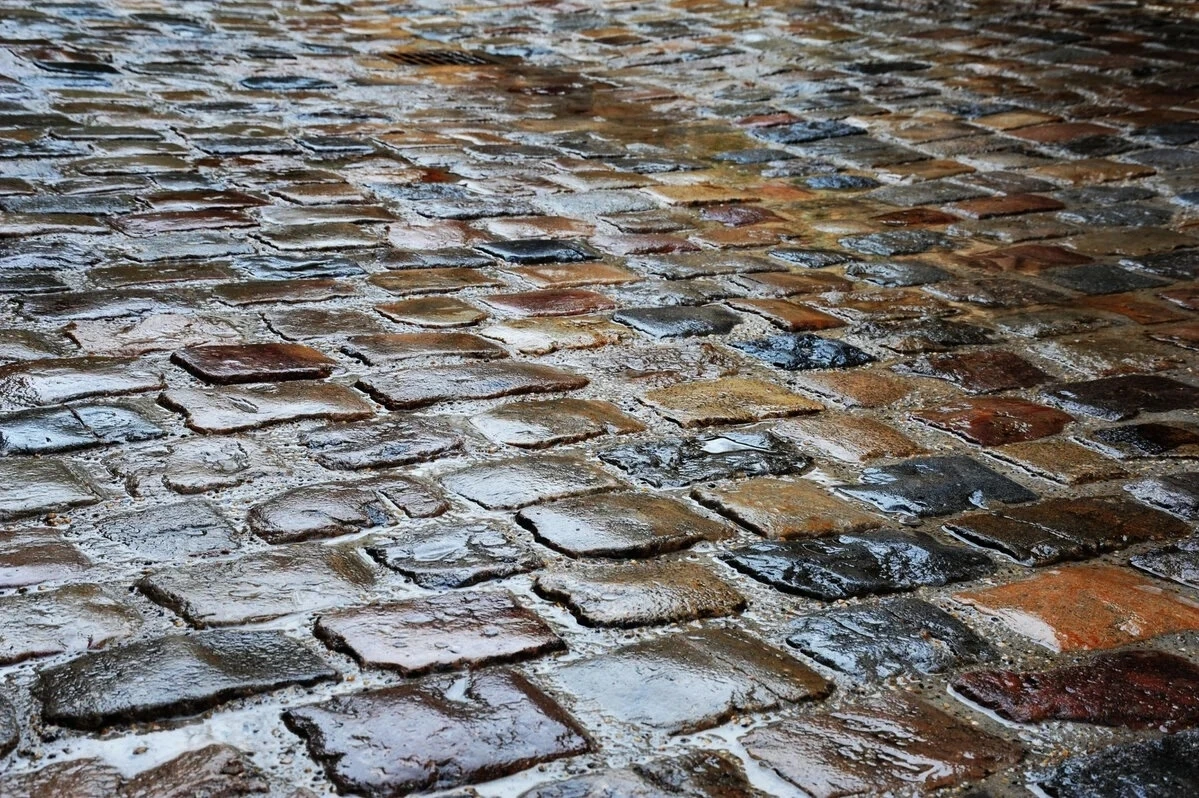 paves-de-rue-mouilles_sb.jpeg