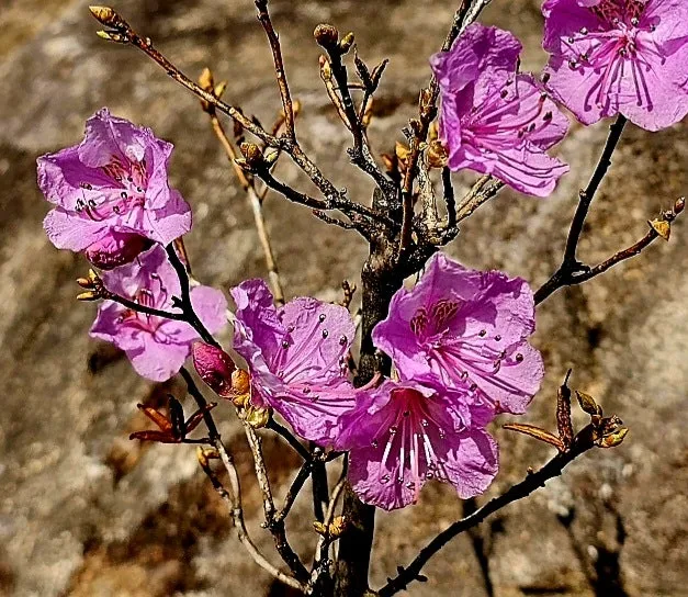 1710906160284.jpg?type=w800