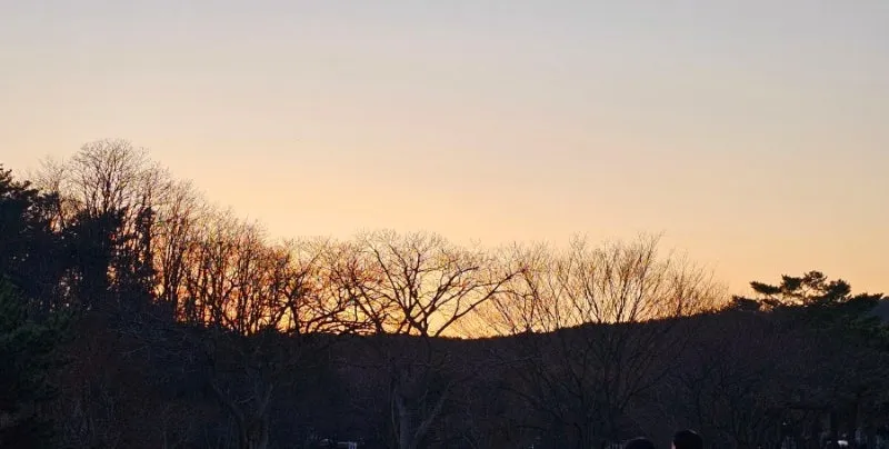 1708228150623.jpg?type=w800