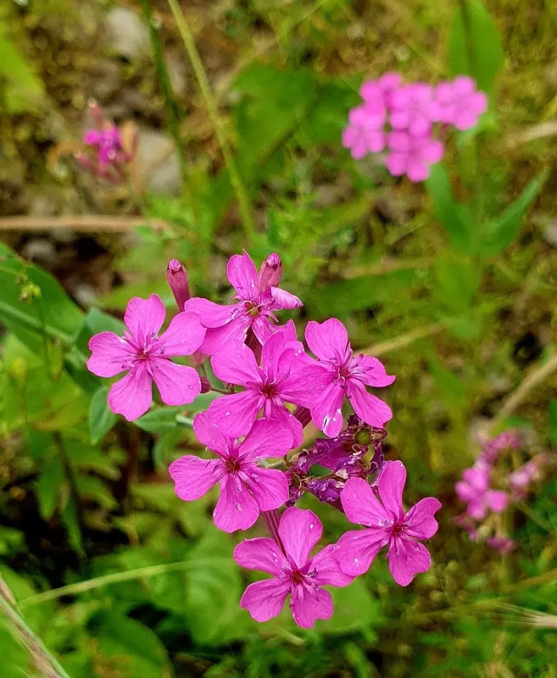 20240530%EF%BC%BF115557.jpg?type=w800