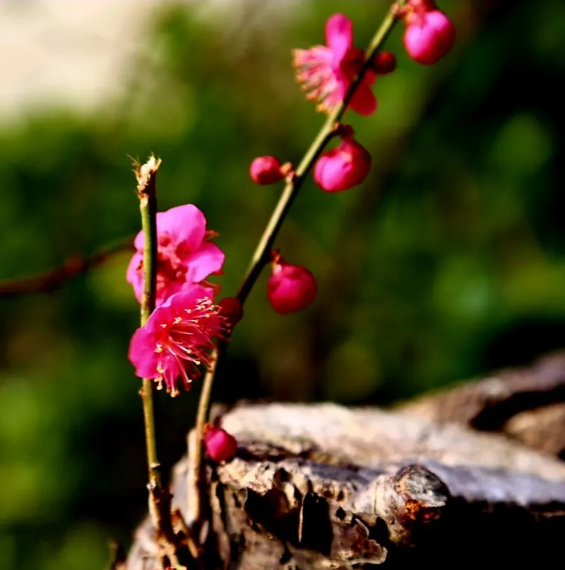 1708297303302.jpg?type=w800