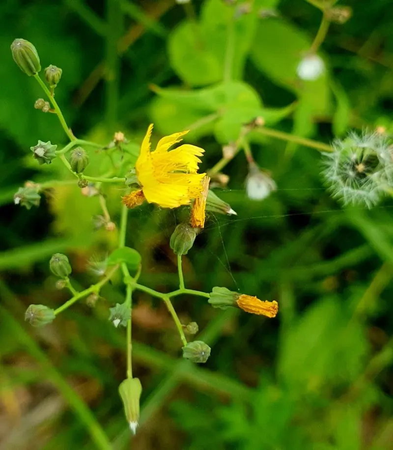 20240530%EF%BC%BF115704.jpg?type=w800