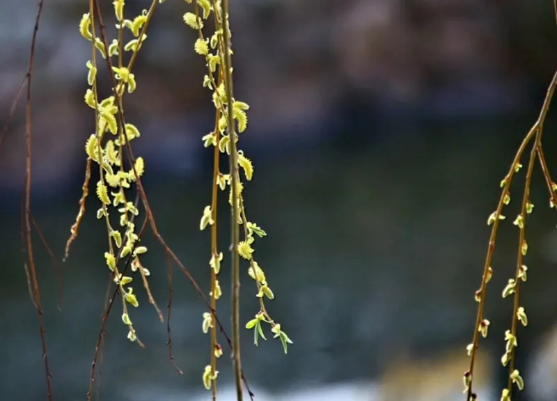 1679620039094%EF%BC%8D23.jpg?type=w800