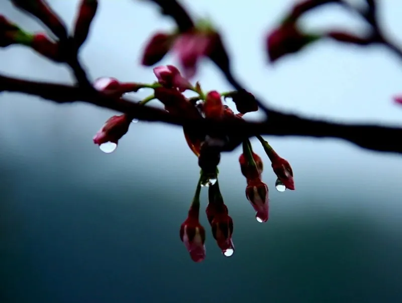 1679620679756%EF%BC%8D15.jpg?type=w800