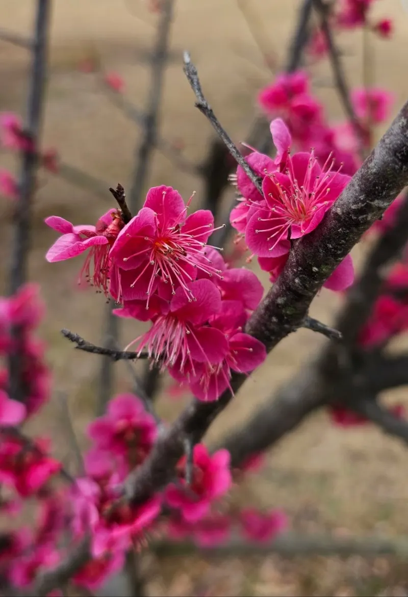 1709101567278.jpg?type=w800