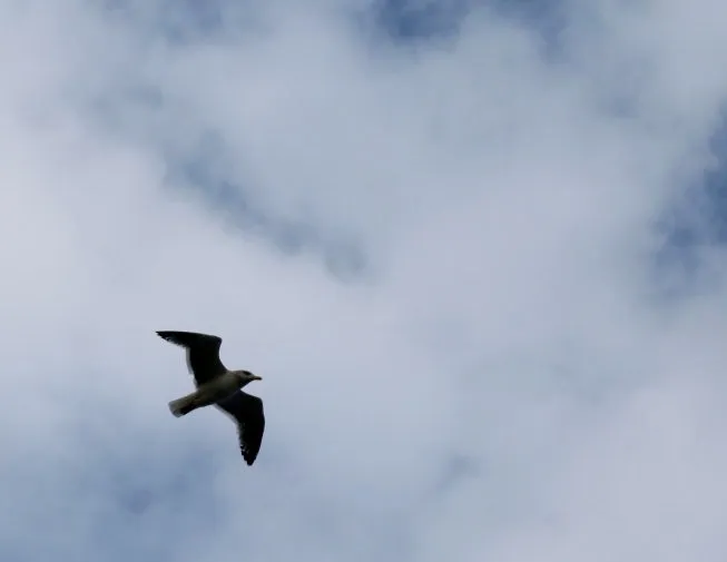 1708297347604.jpg?type=w800