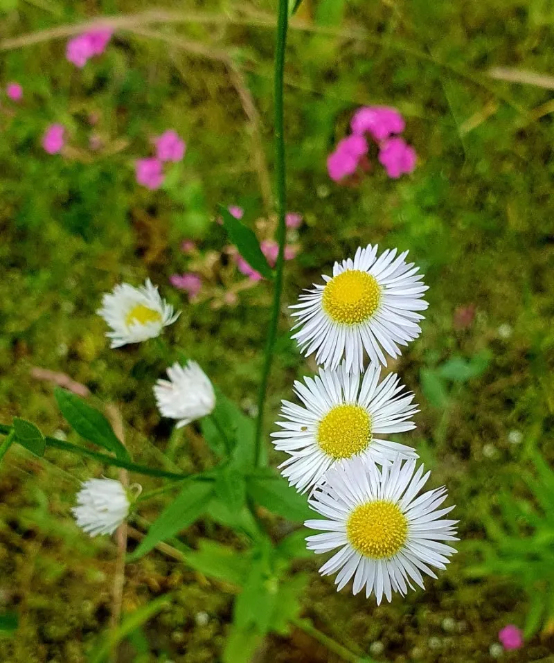 20240530%EF%BC%BF115550.jpg?type=w800