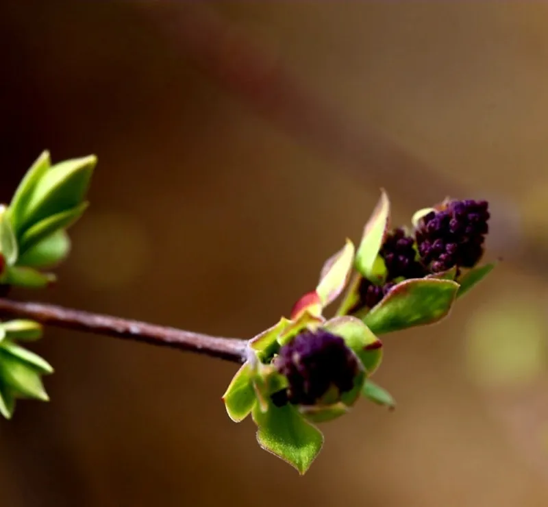 1679620039094%EF%BC%8D2.jpg?type=w800