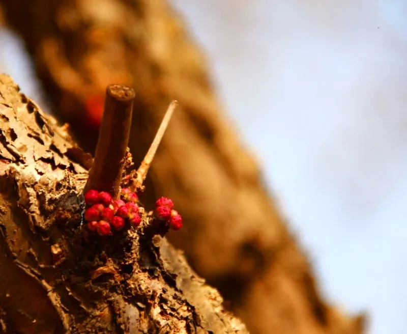 1679619707486%EF%BC%8D5.jpg?type=w800