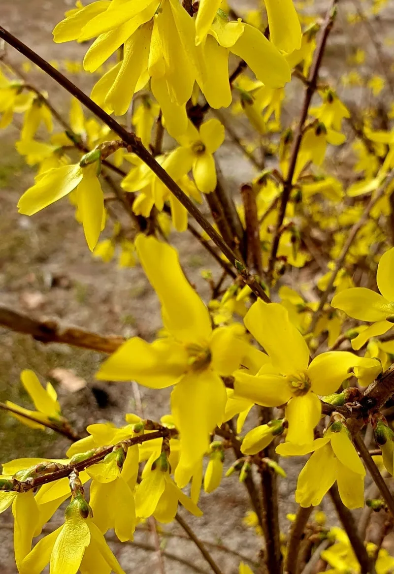 20240322%EF%BC%BF165008.jpg?type=w800