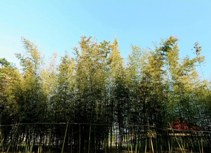 1679620182957%EF%BC%8D26.jpg?type=w800