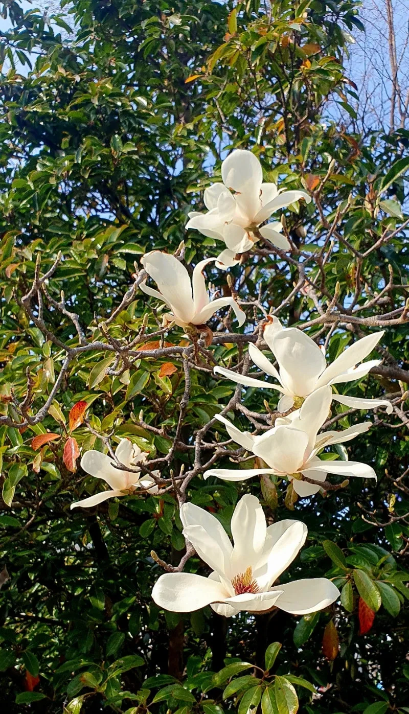 20240323%EF%BC%BF155601.jpg?type=w800