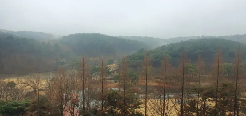 900%EF%BC%BF20250212%EF%BC%BF133507.jpg?type=w800