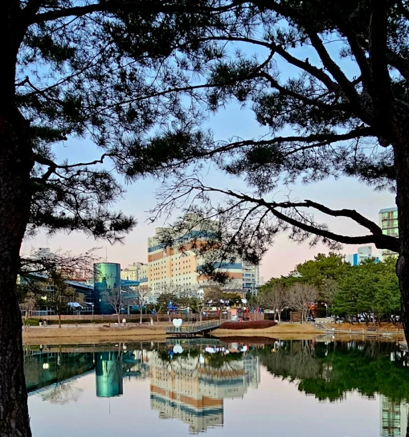 1708228150749.jpg?type=w800