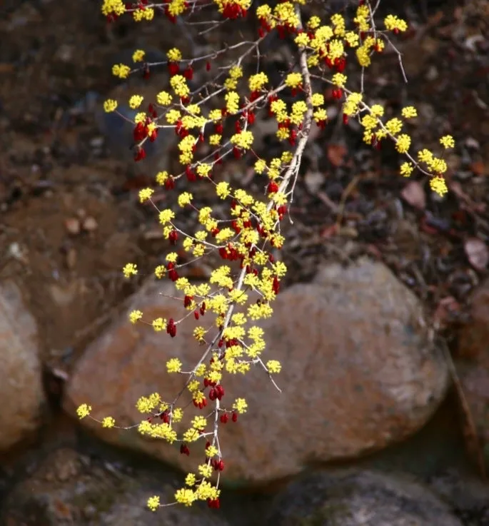 1679619707486%EF%BC%8D15.jpg?type=w800