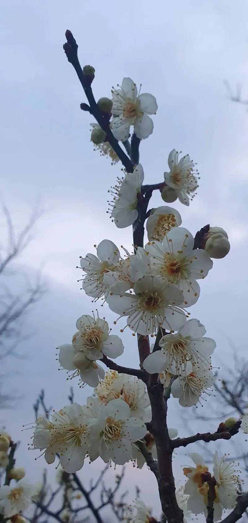 20240312%EF%BC%BF183742.jpg?type=w800