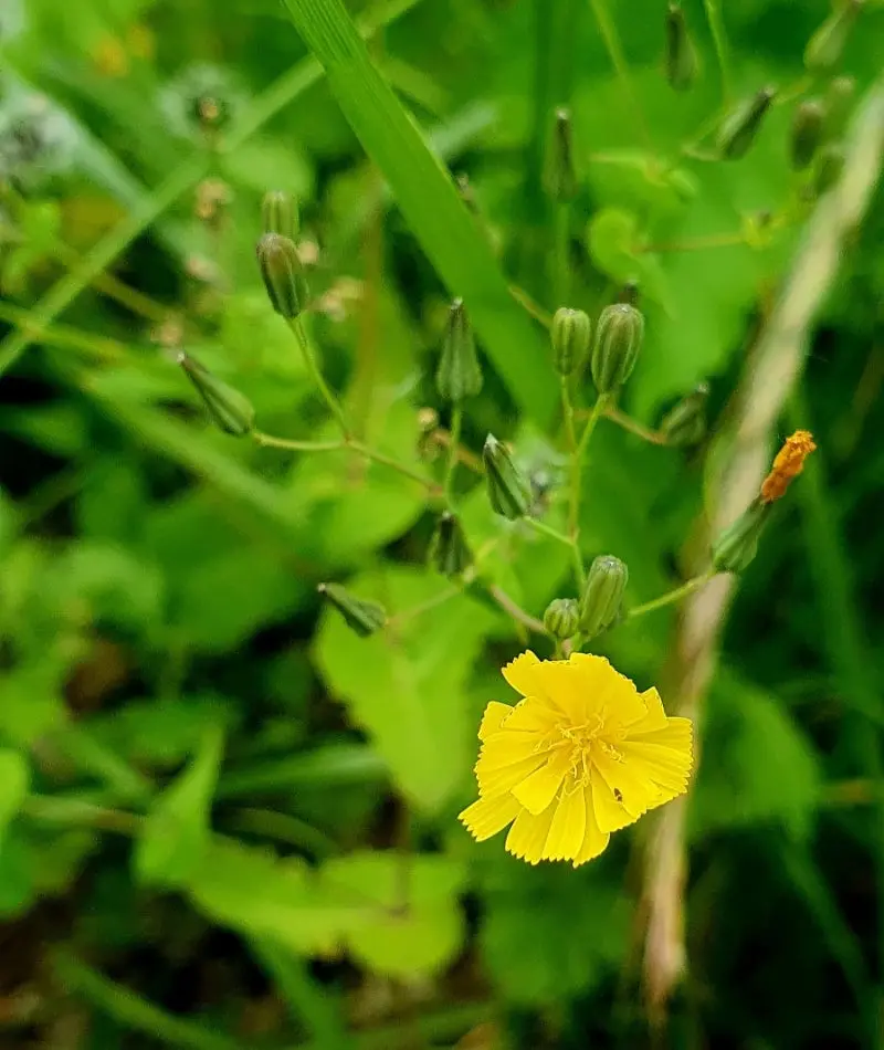 20240530%EF%BC%BF115651.jpg?type=w800