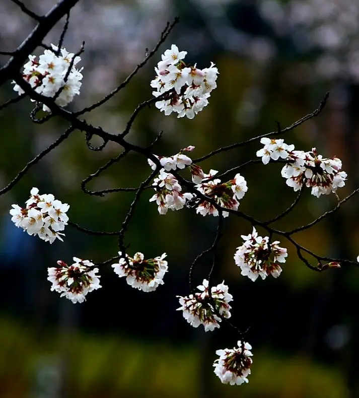 1679620679756%EF%BC%8D7.jpg?type=w800