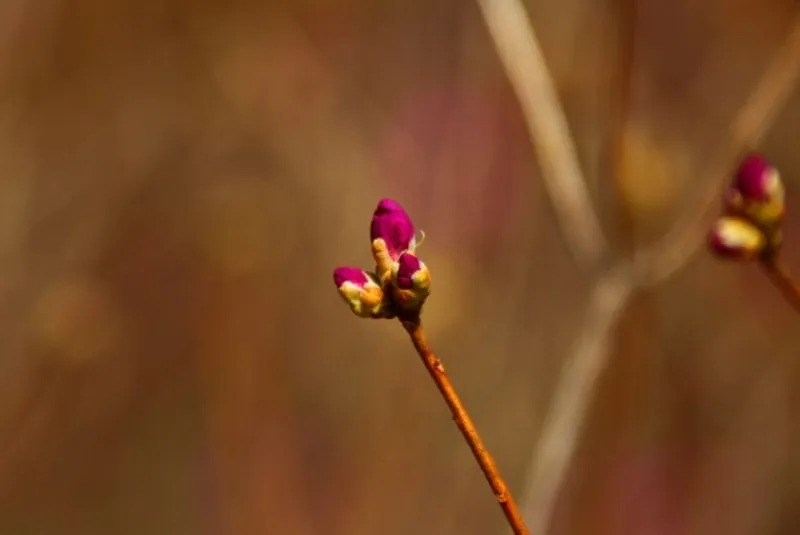 1679619707486%EF%BC%8D14.jpg?type=w800