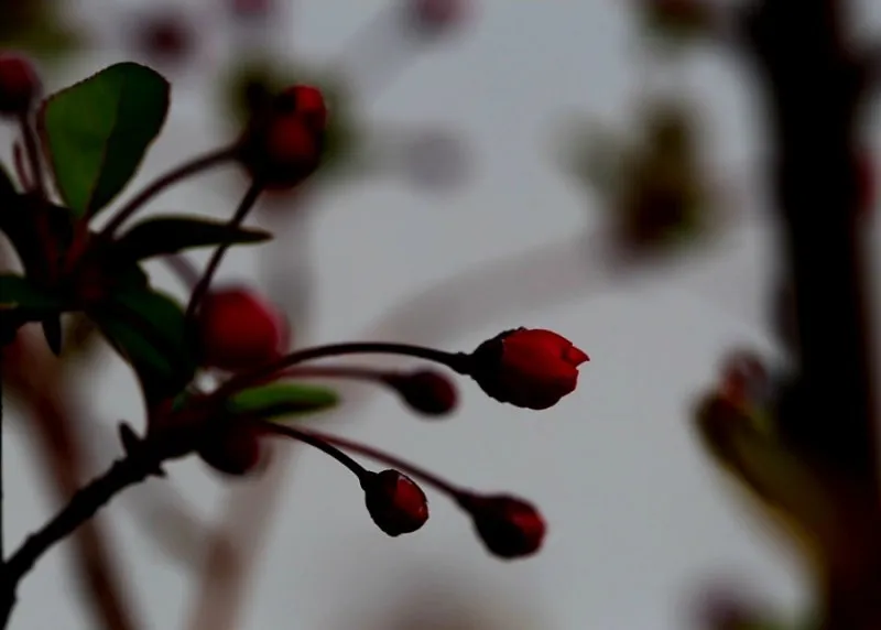 1679620039094%EF%BC%8D3.jpg?type=w800