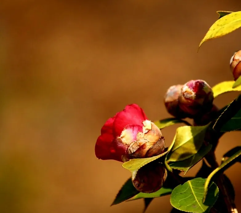 1679619707486%EF%BC%8D0.jpg?type=w800