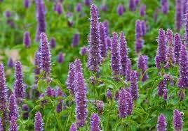 PhotoshopExtension_Image (12).jpeg