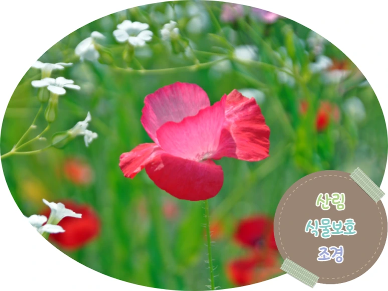 1_-_%EB%B3%B5%EC%82%AC%EB%B3%B8.png?type=w773