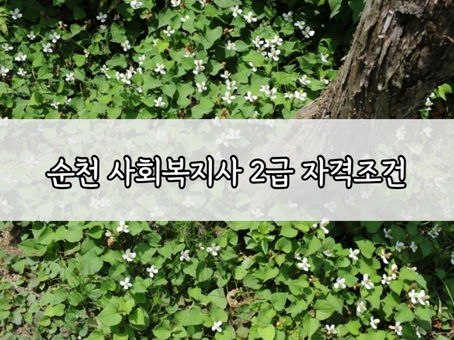 1_-_%EB%B3%B5%EC%82%AC%EB%B3%B8.png?type=w1