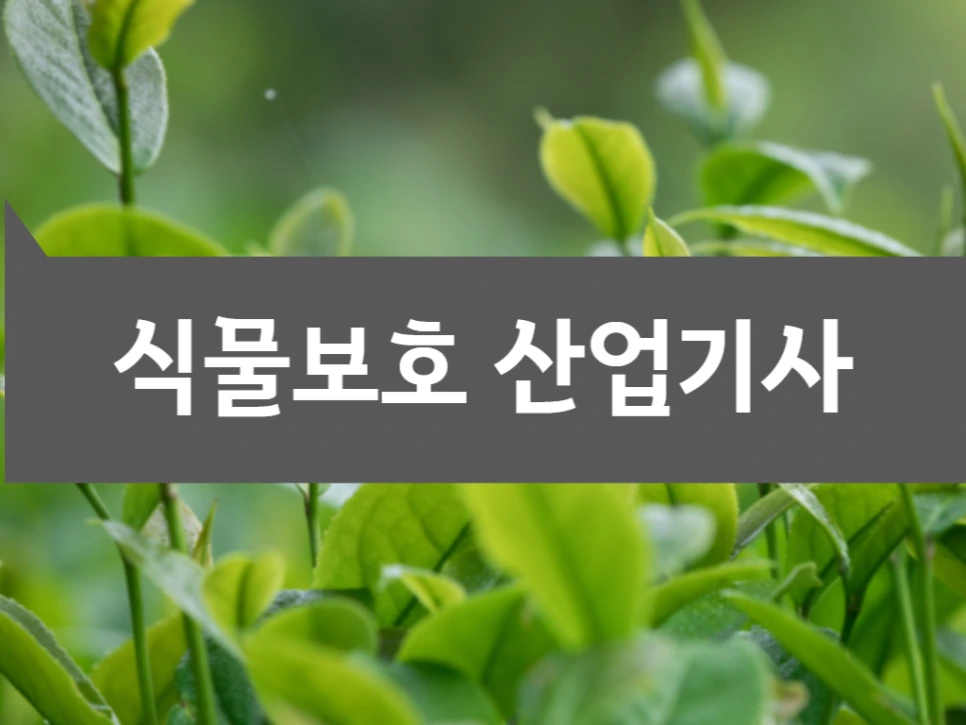 2222_(1)_-_%EB%B3%B5%EC%82%AC%EB%B3%B8.png?type=w966