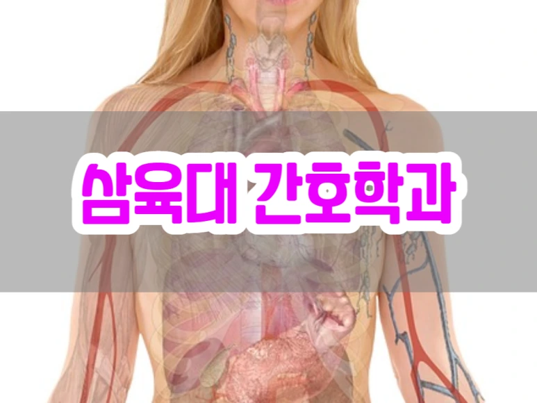 8_-_%EB%B3%B5%EC%82%AC%EB%B3%B8.png?type=w773