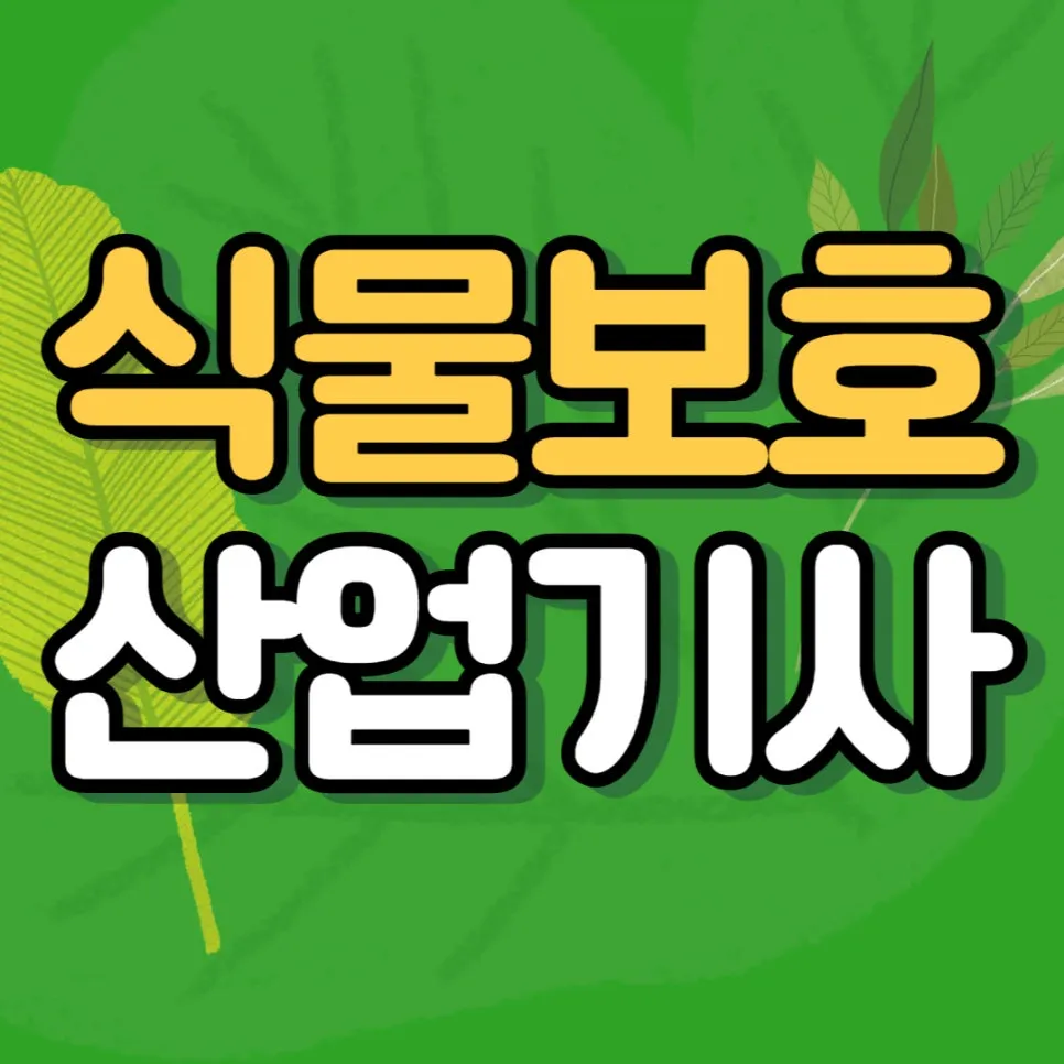 1111_-_%EB%B3%B5%EC%82%AC%EB%B3%B8.jpg?type=w966