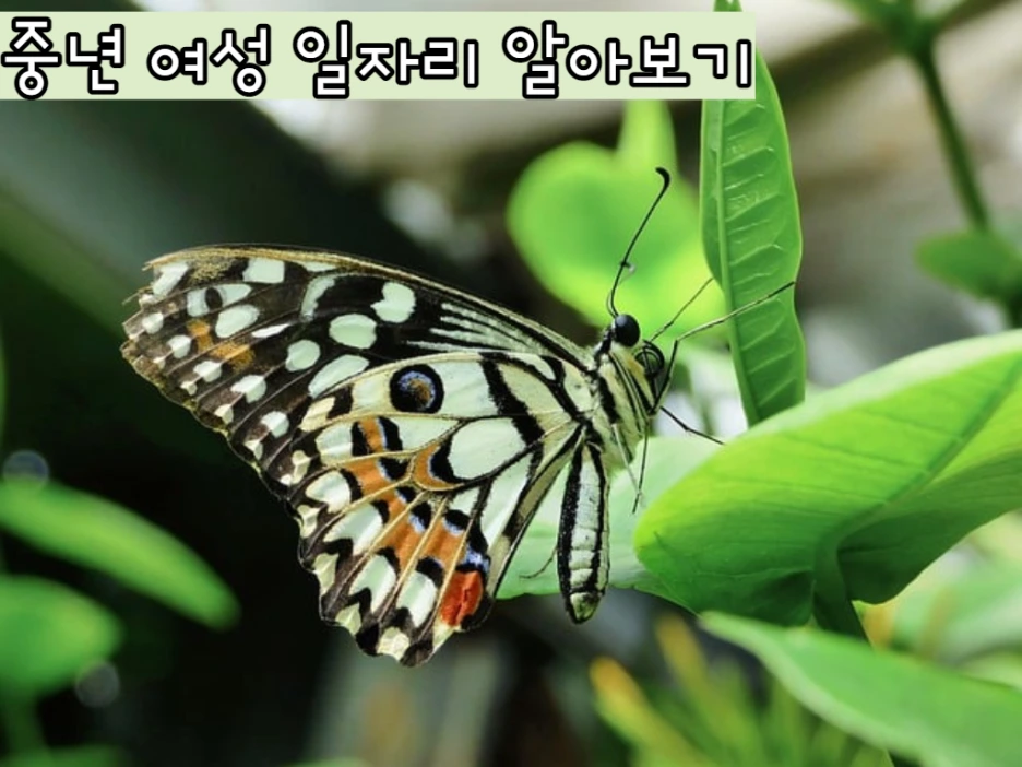 6_-_%EB%B3%B5%EC%82%AC%EB%B3%B8.png?type=w1