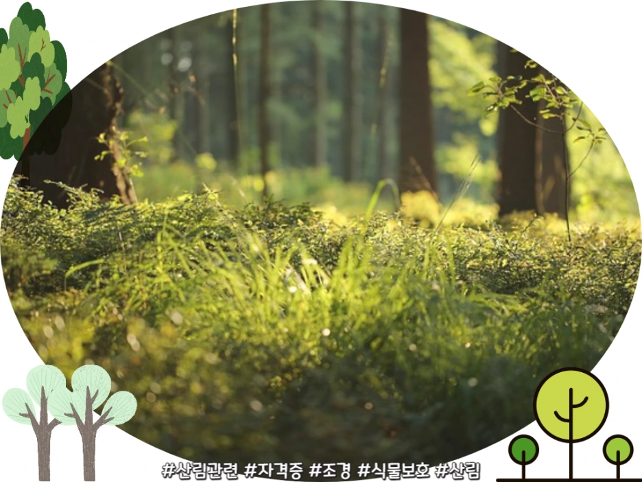 6_-_%EB%B3%B5%EC%82%AC%EB%B3%B8.png?type=w1