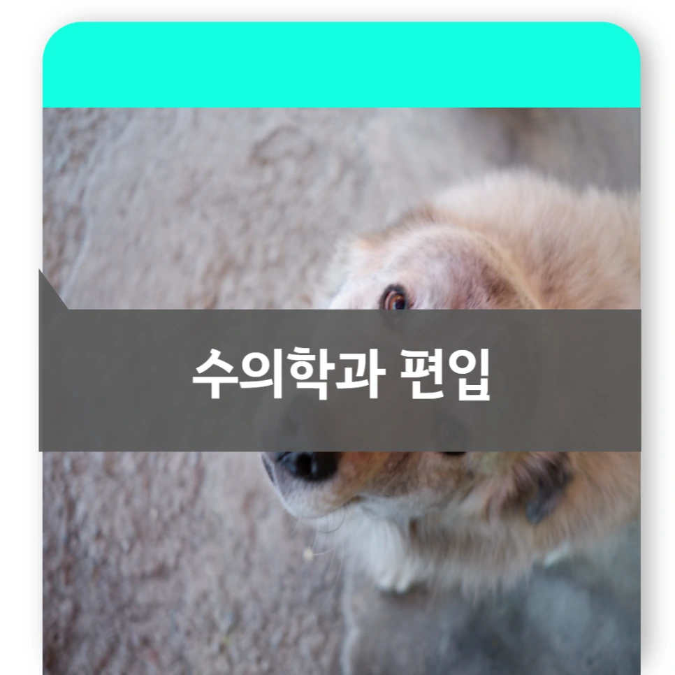 007_-_%EB%B3%B5%EC%82%AC%EB%B3%B8_-_%EB%B3%B5%EC%82%AC%EB%B3%B8.png?type=w966