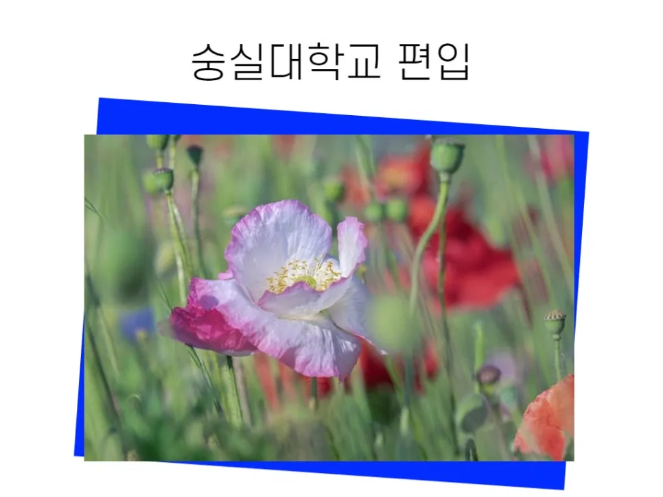 2222_-_%EB%B3%B5%EC%82%AC%EB%B3%B8.jpg?type=w966