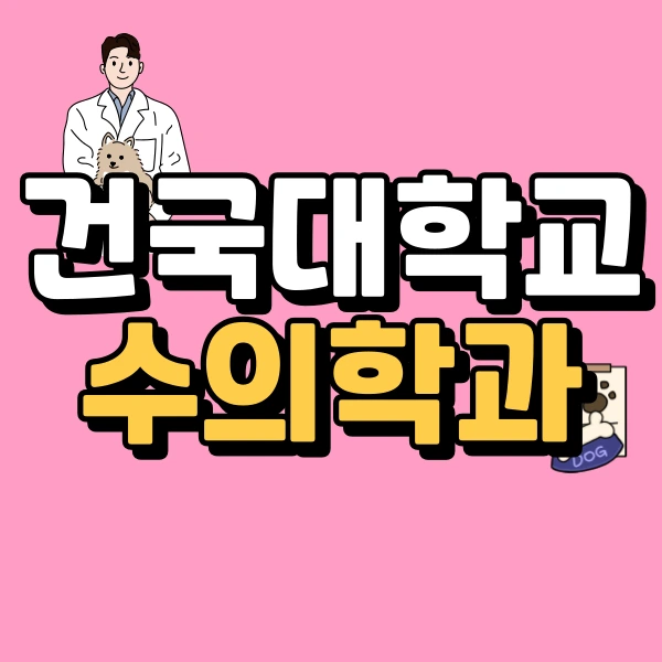 1(%EB%8C%80%ED%91%9C%EC%9D%B4%EB%AF%B8%EC%A7%80).png?type=w773