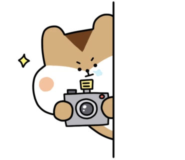 original_23.png?type=p100_100