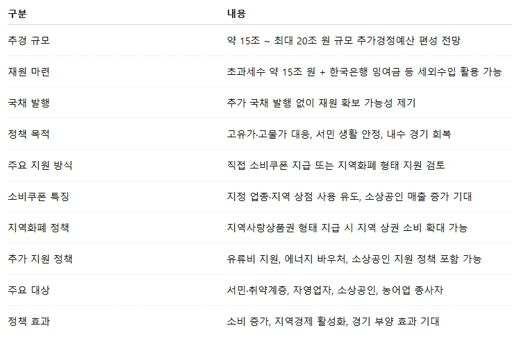 2026년 추경 민생지원금.PNG