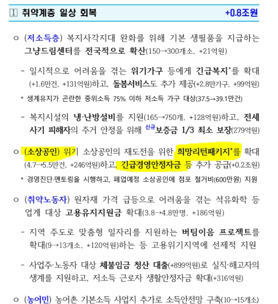 개인사업자 대출 내용 지원금.PNG