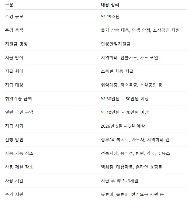 추경25조 민생안정지원금.PNG