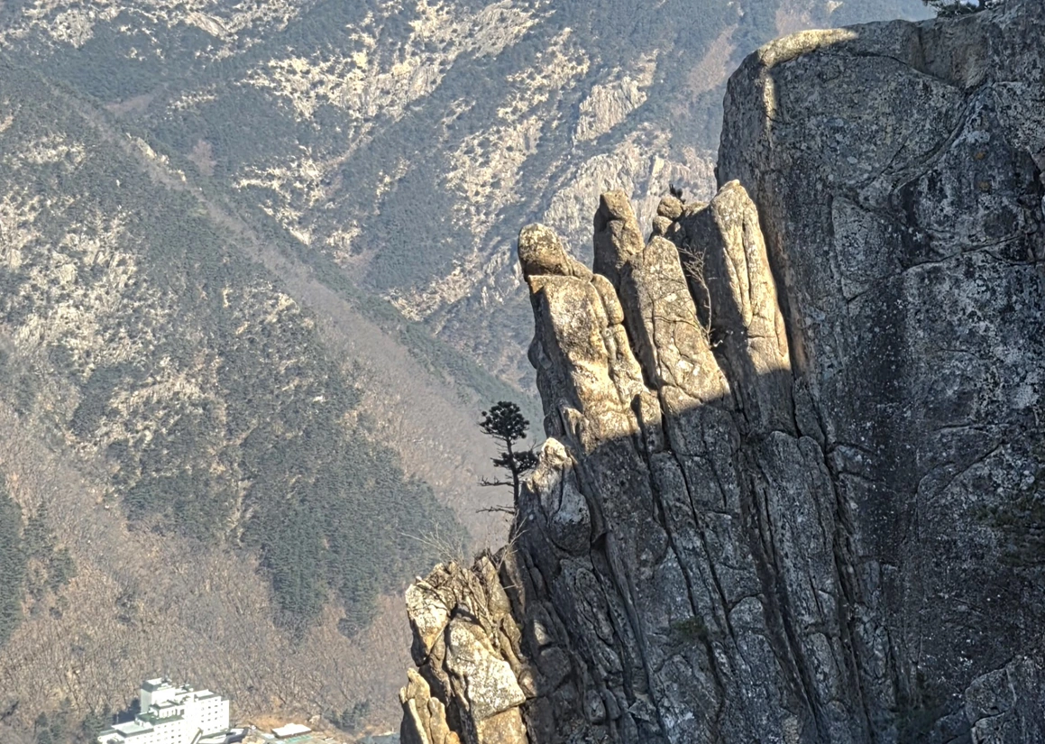 699f0000461ff.png?imgSeq=90272