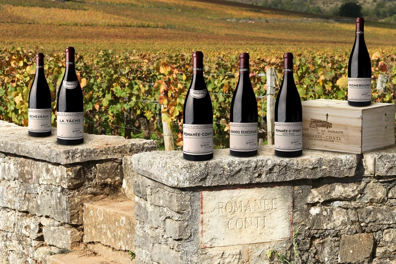 romanee-conti-domaine.jpg?type=w1