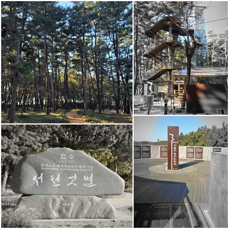 aSRtP4OPFchMyQ9YBxDfHIFTAIY